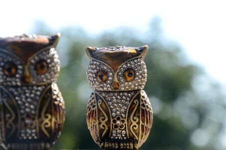 Souvenir bird macro