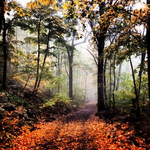 Hiking nature adventure