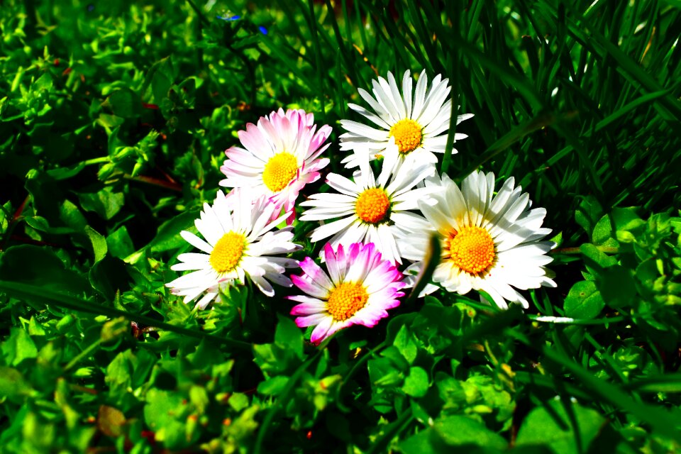 Spring summer natural