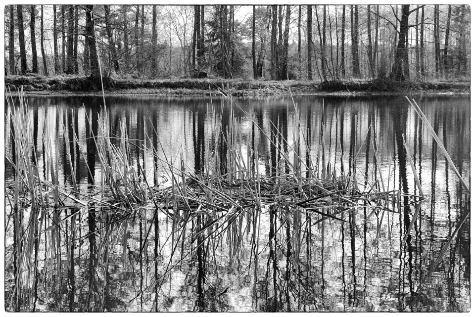 Landscape nature scenic