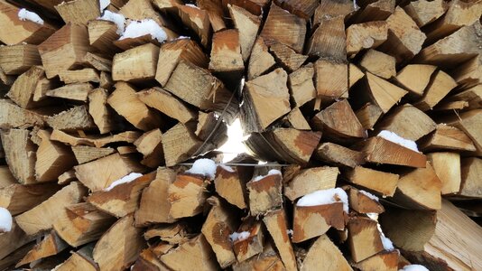 Texture tree timber