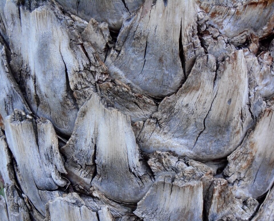Timber rustic natural