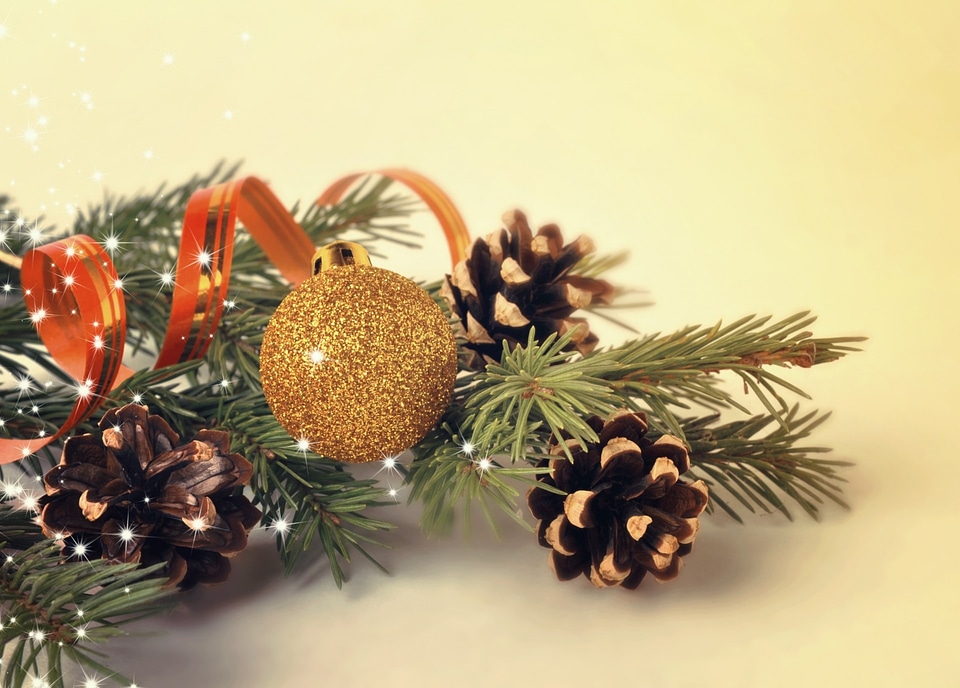 Background tree needles