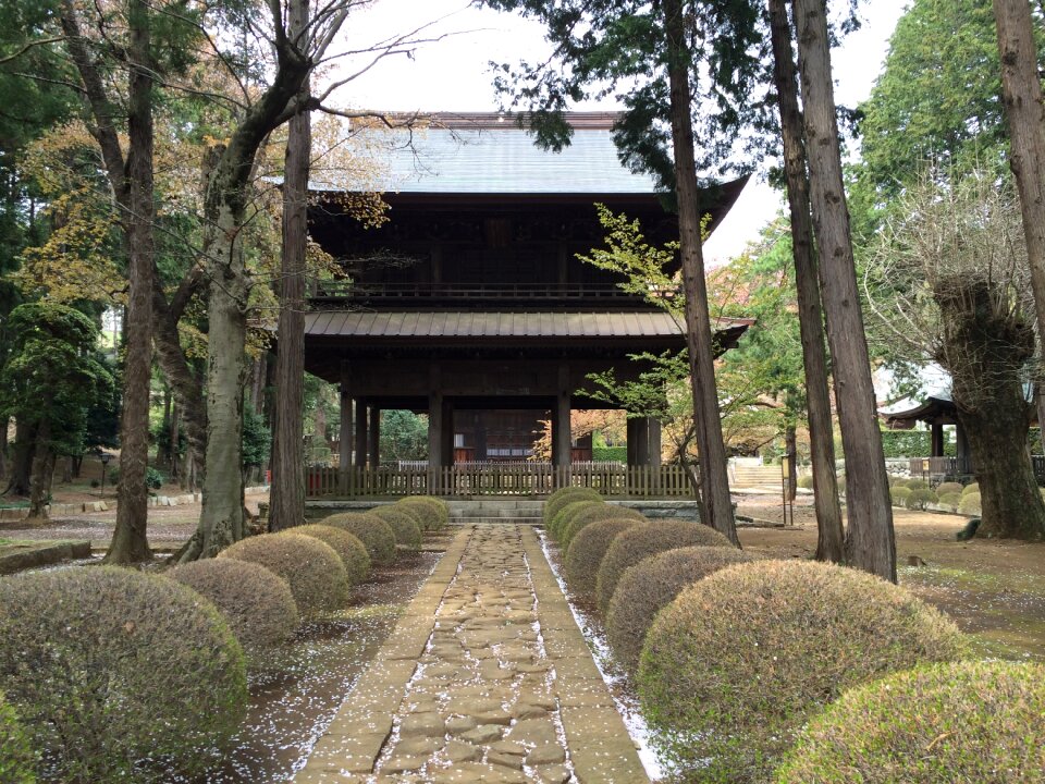Temple gate autumn