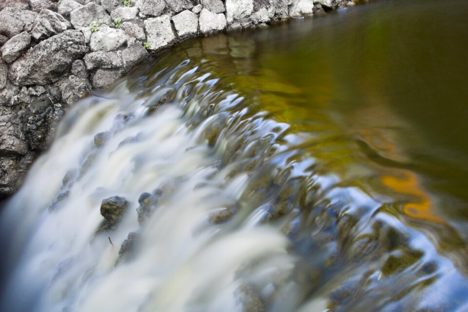 Vegetation river landscape photo