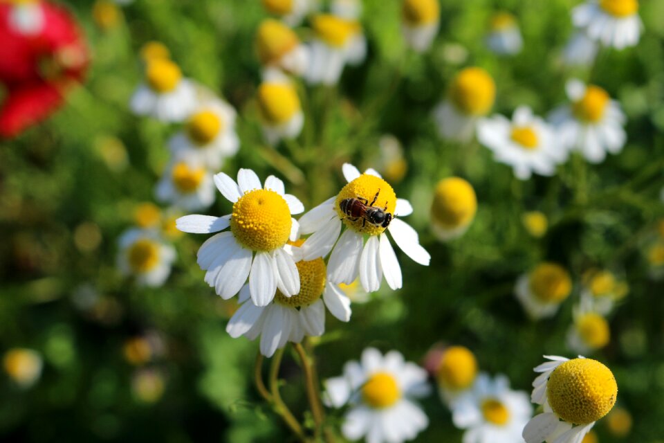Nature refreshing bright