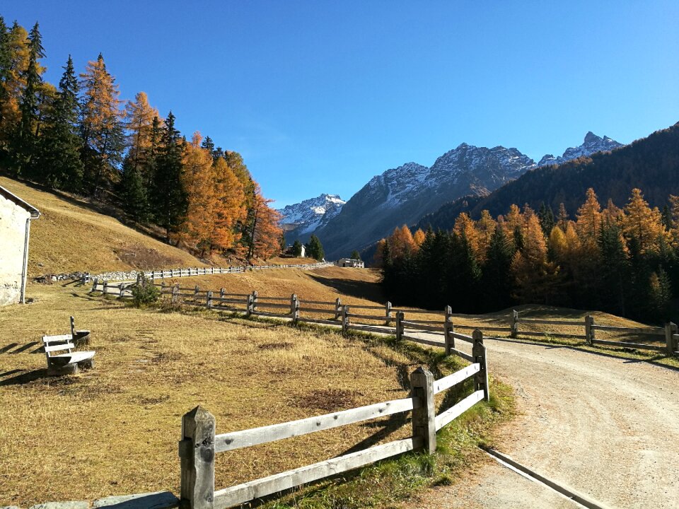 The val field switzerland nature