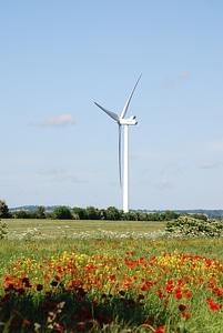 Environmentally friendly meadow scenery