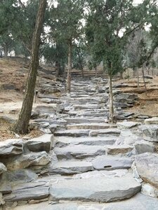 Beijing winter xiangshan