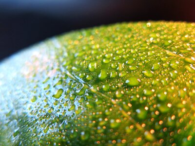 Water drip rain