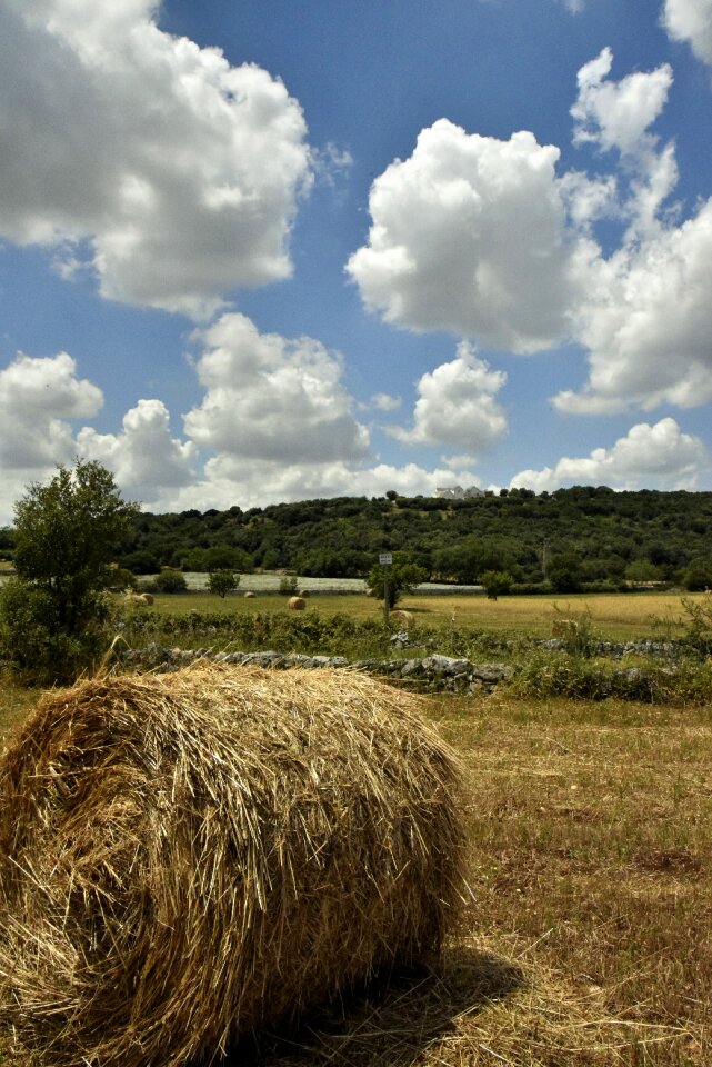 The countryside of alberobello hay bale of hay