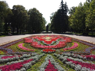 Stavropol lermontov flowers