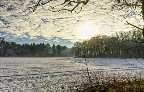 Sun snow winter mood photo