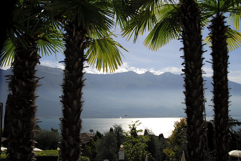 Landscape nature garda