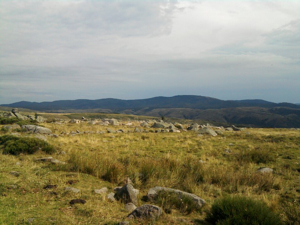 Lozère nature mountain
