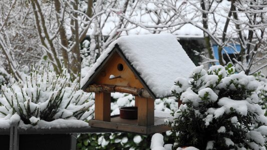 Snowy bird feeder wintry photo