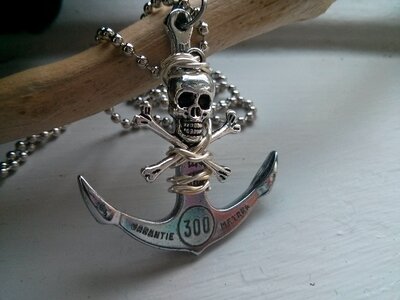 Pirate design gray skull photo