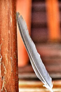 Wood still life