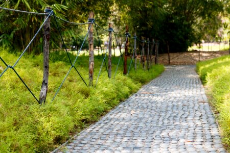 Path park