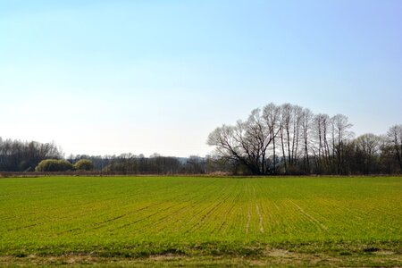 Rostock green the cultivation of