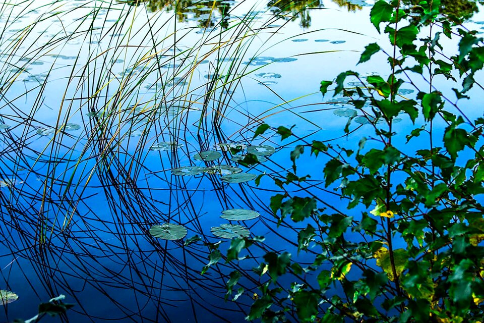 Water reflection mood scenic
