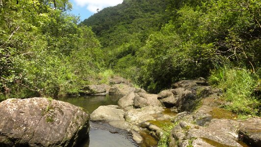 Tropical hawaii scenic photo