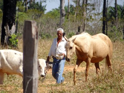 Farm rural roça photo