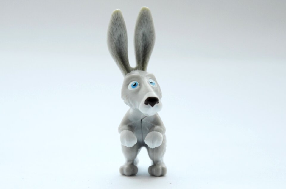 Rabbit hare animals