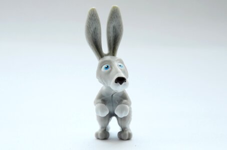 Rabbit hare animals