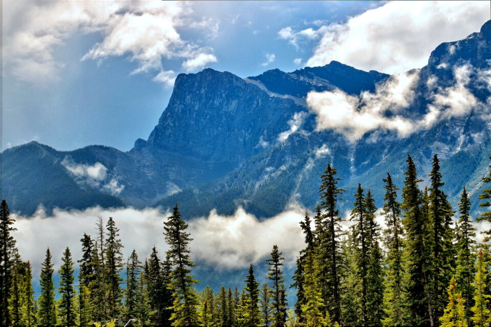 Landscape outdoor summer photo