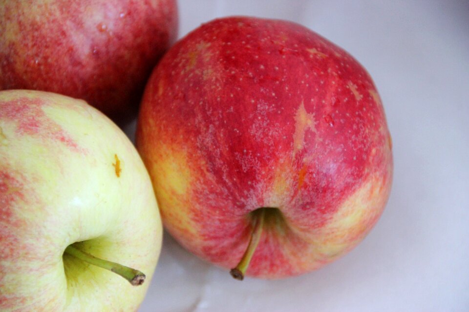 Food organic healthy
