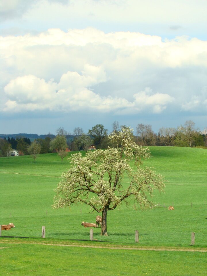 Sky landscape nature