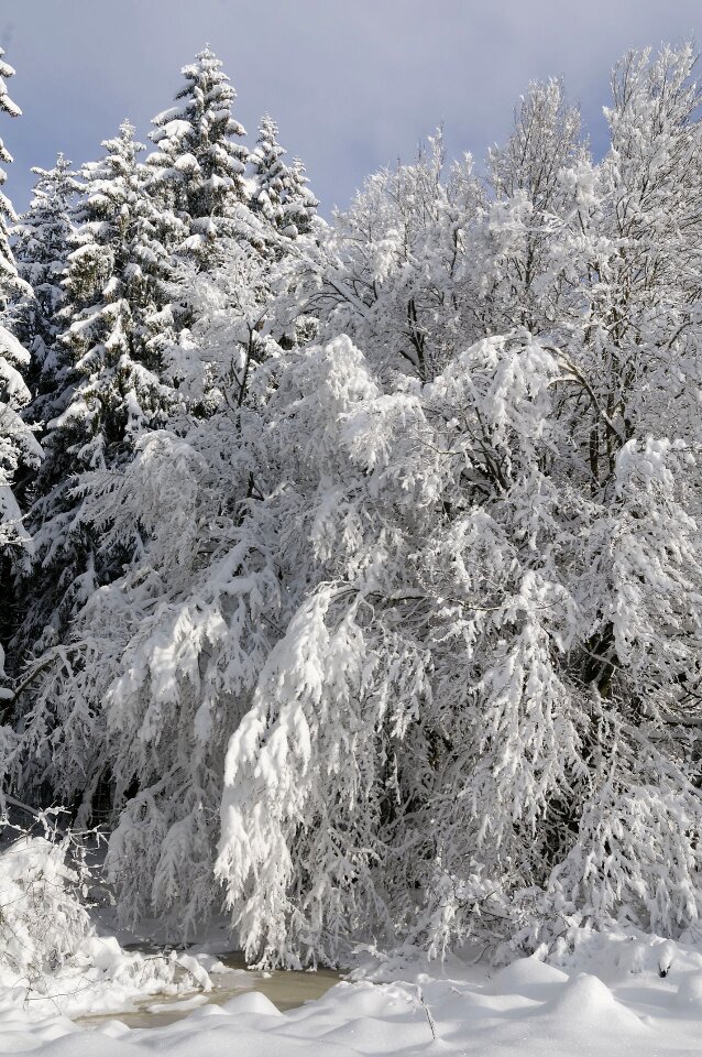 Alps nature winter