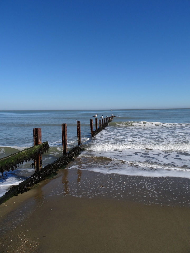 Sea waves ripples