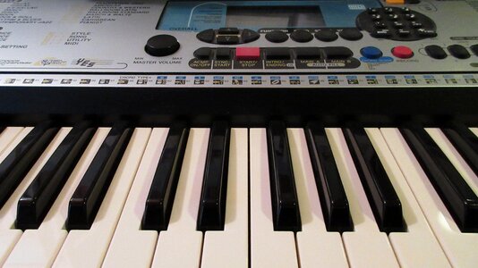 The organ keyboards music