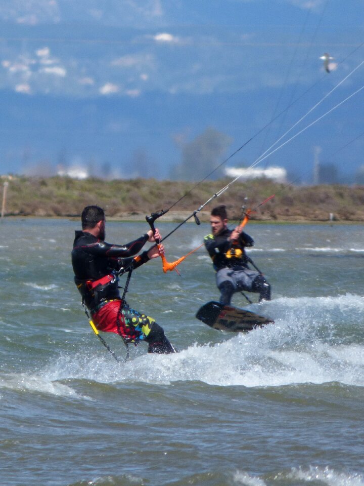 Sea wind ebro delta