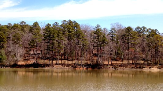 Forest outdoor park