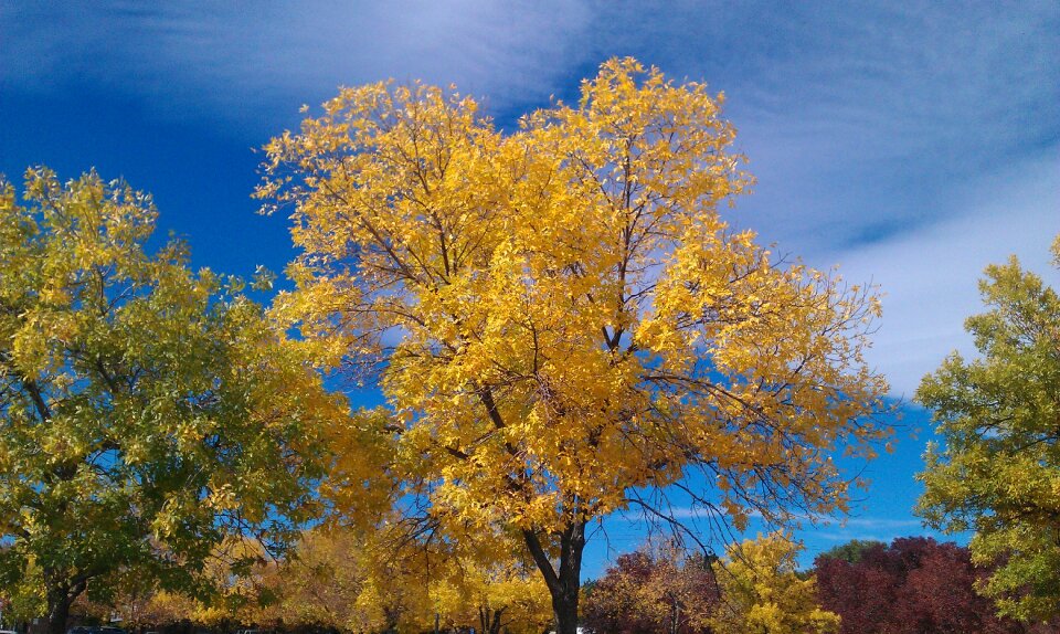 Fall autumn photo