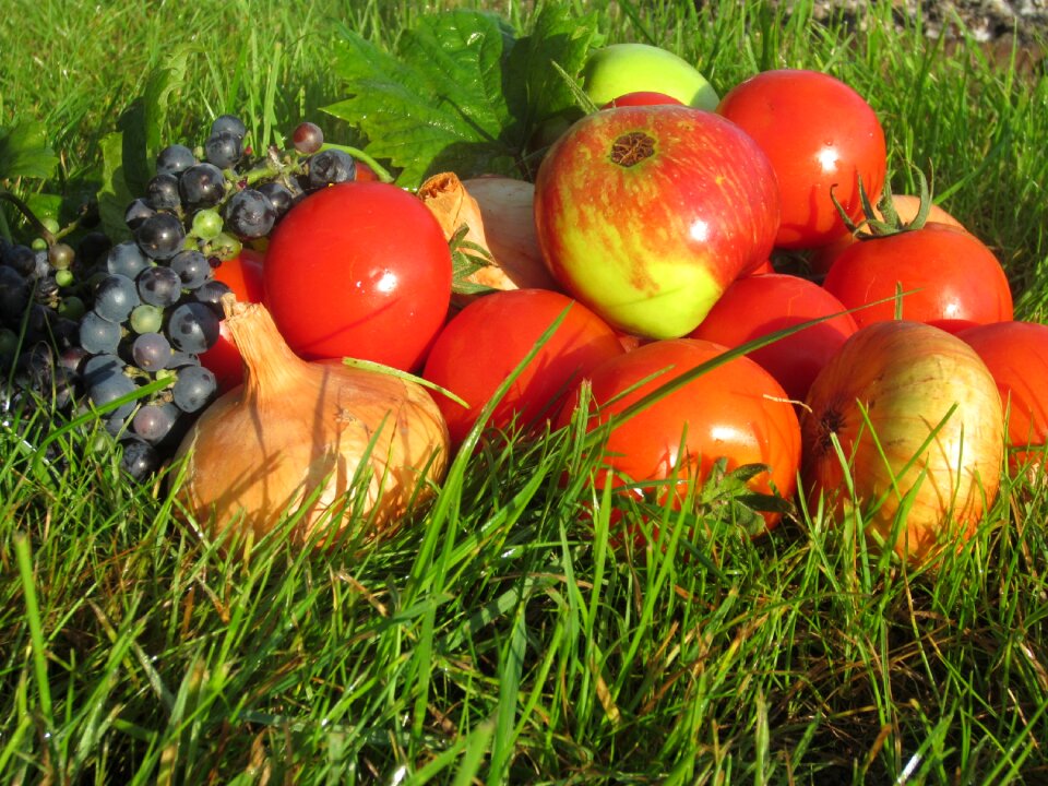 Tomato wine fruit