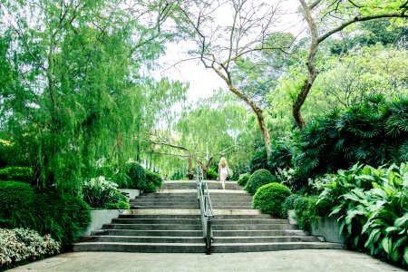 Stair green fresh
