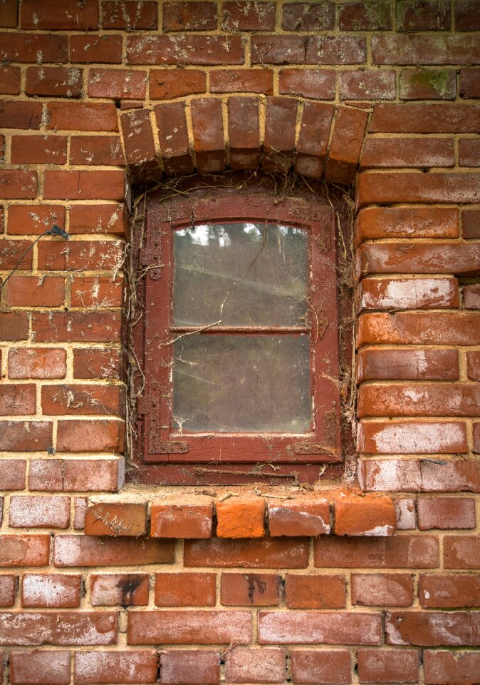 Stone wall ingrowing background