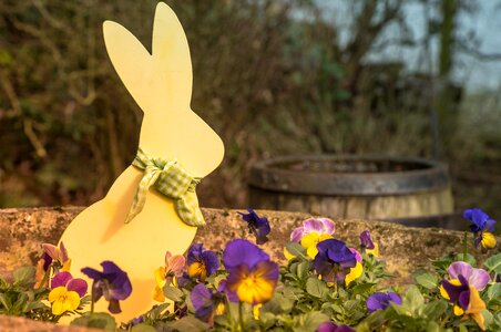 Spring happy easter rabbit photo