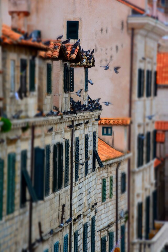 Travel tourism croatia