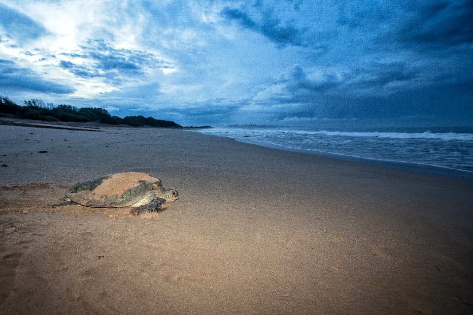 Before dawn ujung origin coast the indian ocean
