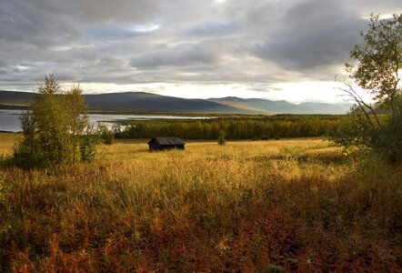 Bed autumn sweden