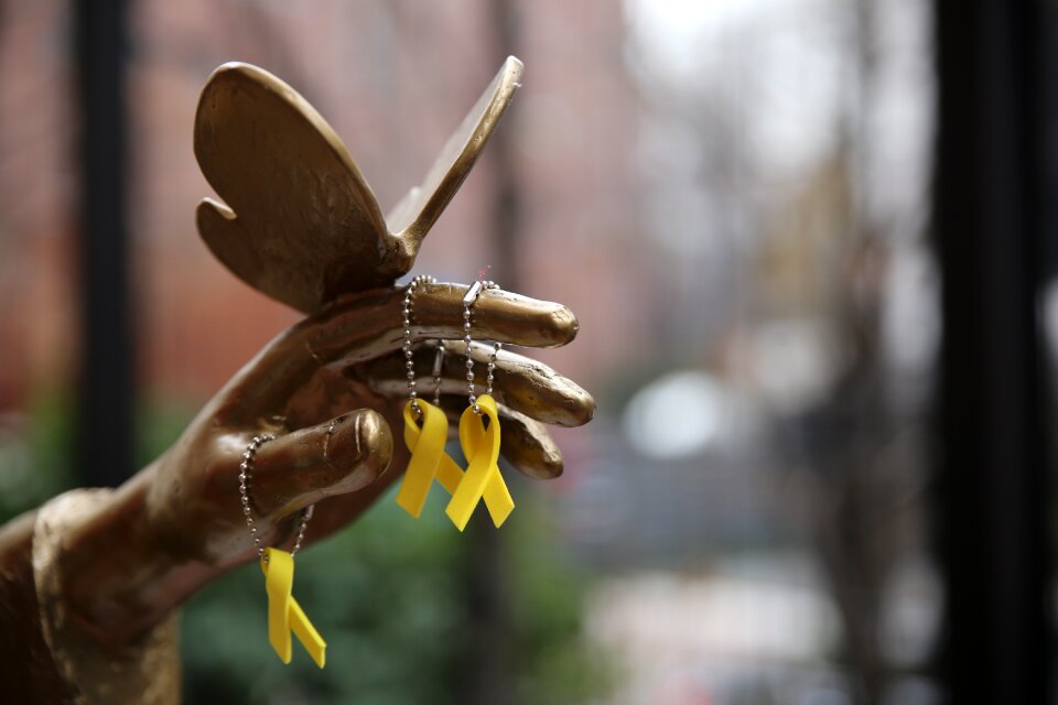 Butterfly hope ribbon
