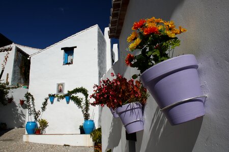 Aceduchal spring sol