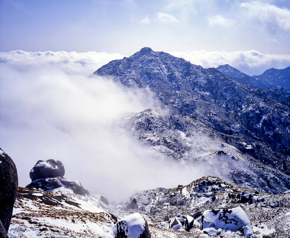 Comparison yakushima island world natural heritage