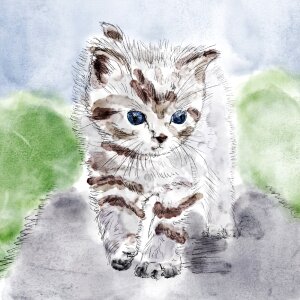 Chick grey watercolor