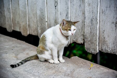 Cute persistent petite